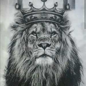 Meet your Posher, Zach